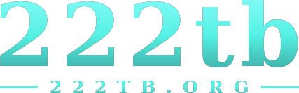 222tb logo